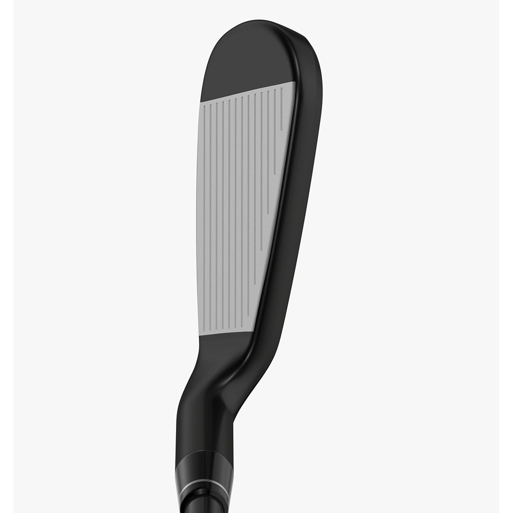 Callaway Apex Ai 300 Black Shadow Irons - Maple Hill Golf